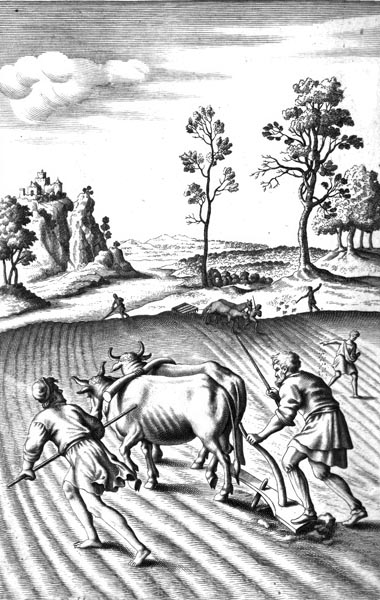 P. VERGILI MARONIS GEORGICON LIBER PRIMVS