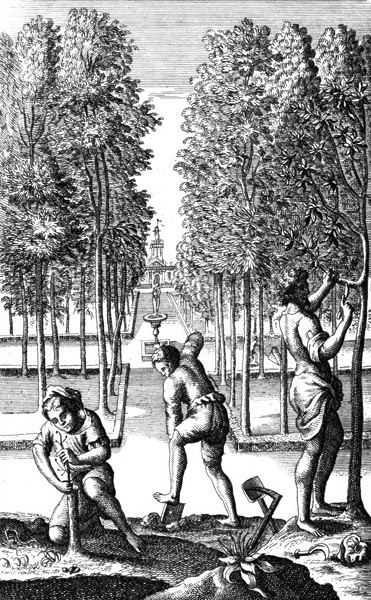 P. VERGILI MARONIS GEORGICON LIBER SECVNDVS