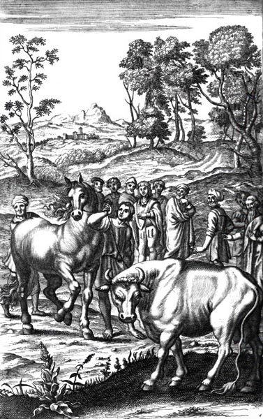 P. VERGILI MARONIS GEORGICON LIBER TERTIVS