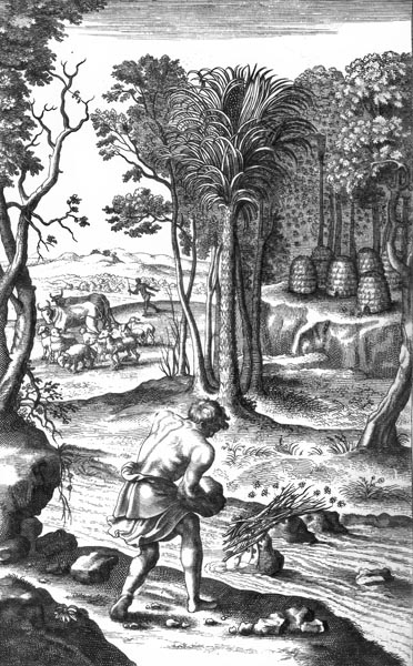 P. VERGILI MARONIS GEORGICON LIBER QVARTVS